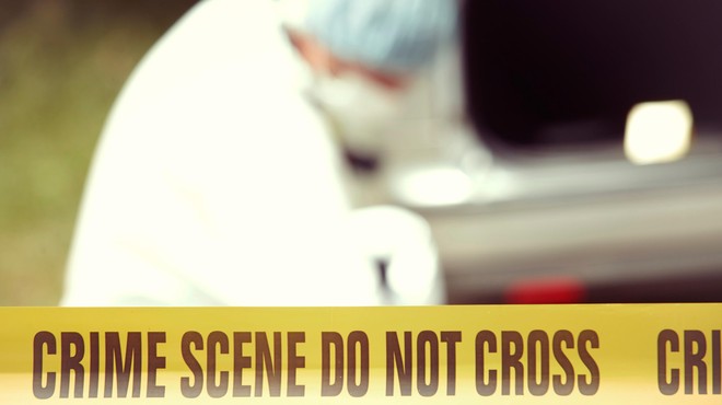Grozljiv incident: policist v nosečnico ustrelil več kot pet nabojev (foto: Profimedia)