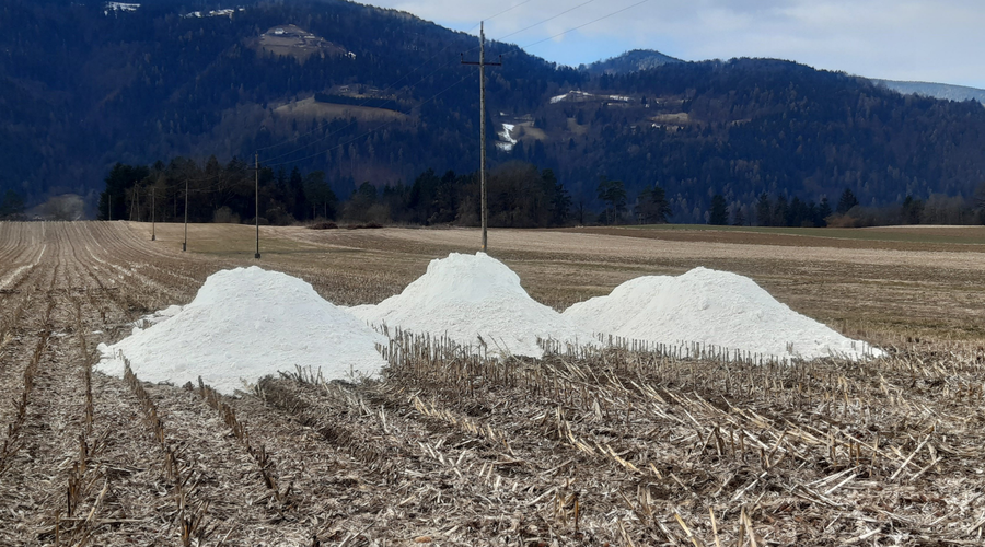 Afera sadra: osumljeni dve slovenski podjetji! Grozi jim do 12 let zapora! (foto: PU Celje/STA)