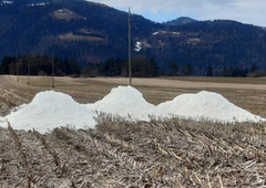 Afera sadra: osumljeni dve slovenski podjetji! Grozi jim do 12 let zapora!