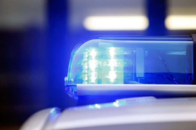 Tragedija, ki je zaznamovala družino: sin odšel na zabavo, doma pa očeta pustil z bulterierjem (grozljivo, kaj se je zgodilo)