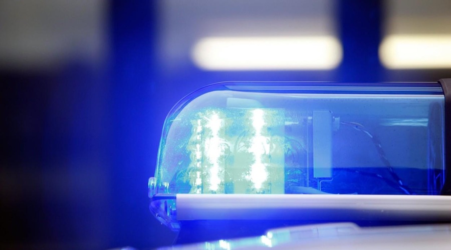 Tragedija, ki je zaznamovala družino: sin odšel na zabavo, doma pa očeta pustil z bulterierjem (grozljivo, kaj se je zgodilo) (foto: Profimedia)