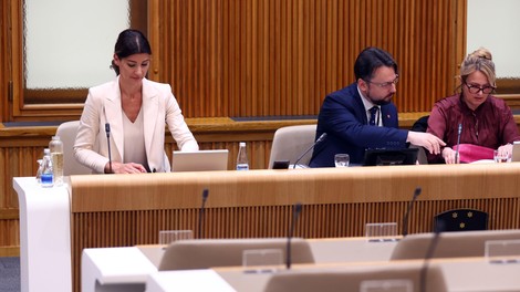 Očitno vlada dela vse na svojo roko: o nakupu "degradirane nepremičnine" vrhovno sodišče ni bilo seznanjeno