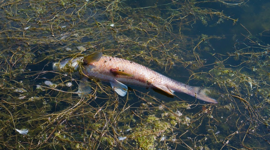 Slika je simbolična. (foto: Profimedia)