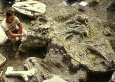 Na britanskem otoku Wight odkrili dinozavra vseh dinozavrov
