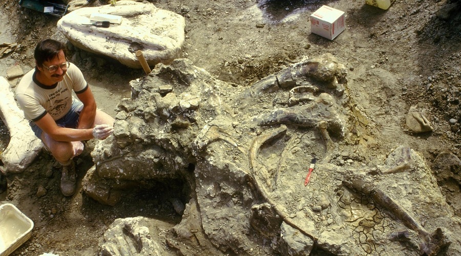 Na britanskem otoku Wight odkrili dinozavra vseh dinozavrov (foto: Profimedia)