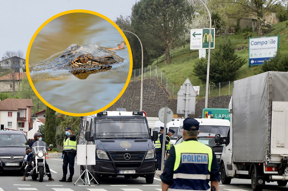 Fotografija je simbolična. (foto: Profimedia/fotomontaža)