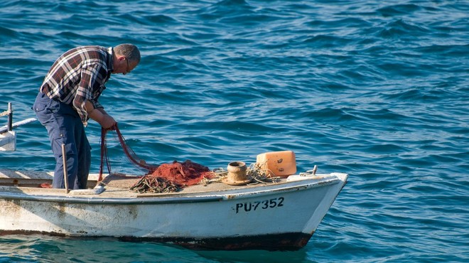Ribič iz Labina ulovil morskega psa, potem pa se je zgodilo TO (foto: Profimedia)