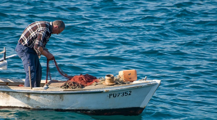 Ribič iz Labina ulovil morskega psa, potem pa se je zgodilo TO (foto: Profimedia)