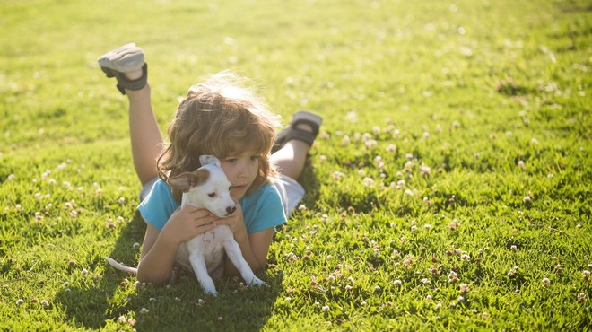 Kupiti mladička ali posvojiti psa iz zavetišča? TO so prednosti in slabosti (foto: Profimedia)