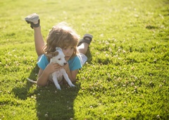 Kupiti mladička ali posvojiti psa iz zavetišča? TO so prednosti in slabosti