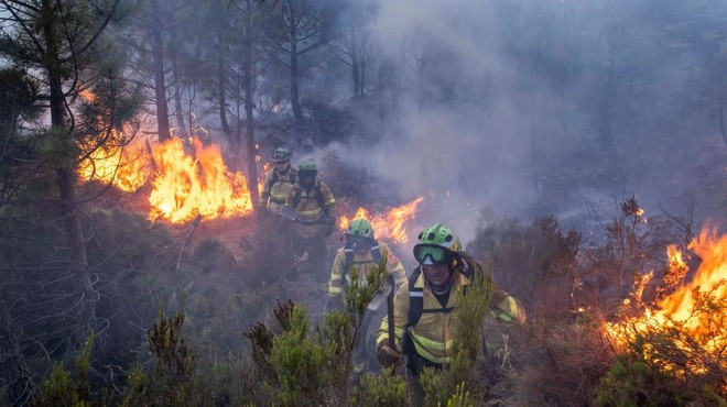 Vročinski val sprožil ogromno večjih požarov: uničijo lahko do 20.000 hektarjev! (foto: Twitter/posnetek zaslona)