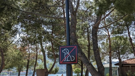Kam s psom na dopust?