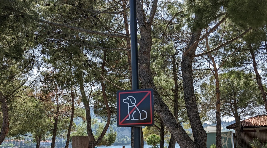 Kam s psom na dopust? (foto: Š.Š.)