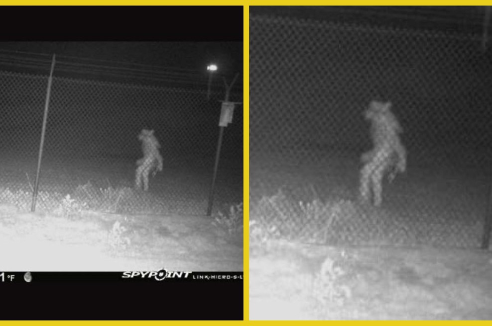 Meščani ne znajo pojasniti, kaj se je pojavilo na varnostni kameri (foto: Fotomontaža/Facebook/City of Amarillo Texas)