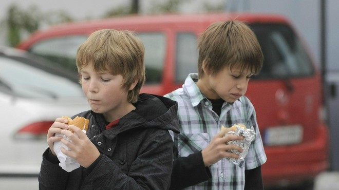 Draginja bo udarila tudi v šole: otroci že jeseni z dražjim obrokom (foto: Bobo)