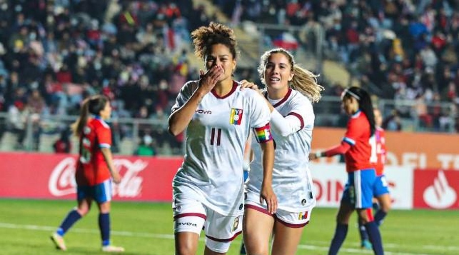 Pes med tekmo stekel na igrišče in izvabil val navdušenja (foto: Twitter/FUTVE English)