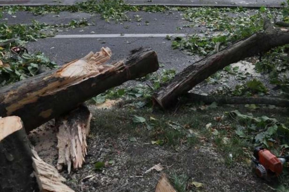 Neurja: klestila toča, veter podiral drevesa; kaj se je zgodilo z osebo, na katero je padlo drevo? (foto: Twitter/Reporter)