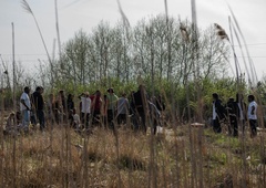 V Srbiji v strelskem obračunu med migranti huje ranjeno 16-letno dekle
