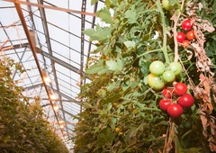 Eksperiment uspel: Slovenci našli nov način ogrevanja