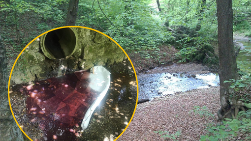 Ljubljanski potok močno onesnažen! V njem so našli več sto litrov kurilnega olja