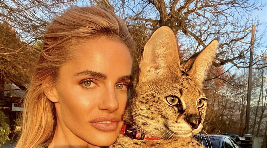 Znana Slovenka izvedela, kaj se je zgodilo z njeno pogrešano eksotično mačko (foto: Instagram/Spela Kastelic)