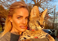 Znana Slovenka izvedela, kaj se je zgodilo z njeno pogrešano eksotično mačko