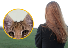 Nevarno? Znani Slovenki pobegnila eksotična žival