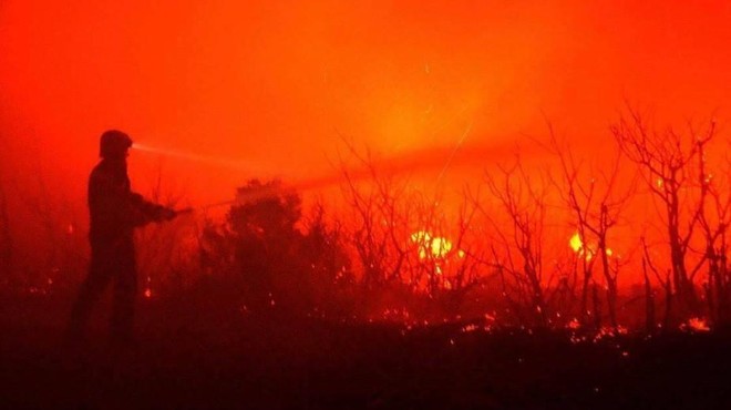 Istra gori: obsežen požar gasi 86 gasilcev (foto: Hrvatska danas)