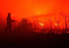 Istra gori: obsežen požar gasi 86 gasilcev