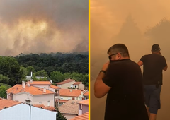 (VIDEO) Pretresljivi posnetki požara v Istri: "V določenem trenutku smo mislili, da ni izhoda. Tresli smo se. Reševali smo življenja."