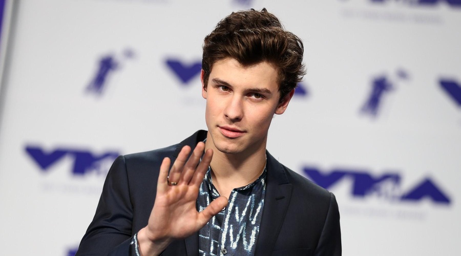 Shawn Mendes v enem težjih obdobij v svojem življenju: "Dosegel sem točko zloma." (foto: Profimedia)