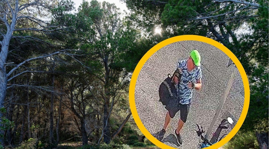 Pogrešanega Slovenca po več kot mesecu dni našli mrtvega v gozdu (foto: Profimedia/PU Koper/fotomontaža)