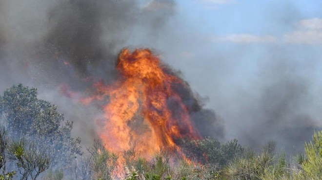 Hrvaška v plamenih: "Imamo požarni kaos, dajemo vse od sebe." (foto: Instagram/dnevnikhr)