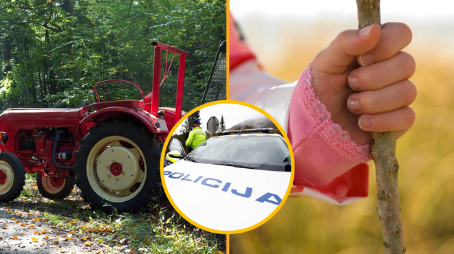 Po hudi nesreči s traktorjem mu je žena zadala usodne udarce s palico (foto: Profimedia/Bobo/fotomontaža)