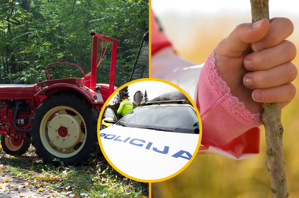 Po hudi nesreči s traktorjem mu je žena zadala usodne udarce s palico (foto: Profimedia/Bobo/fotomontaža)