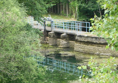 Pomanjkanje vode v Istri: "Stanje je iz ure v uro slabše."