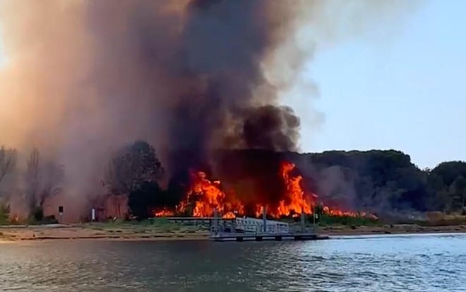 Turisti so morali zaradi požara zbežati v morje! (foto: Twitter/Elena Zwirner)