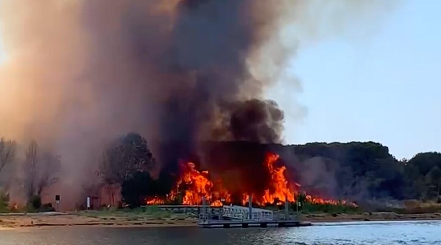 Turisti so morali zaradi požara zbežati v morje! (foto: Twitter/Elena Zwirner)