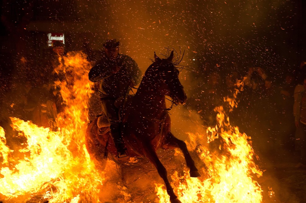 Izredne razmere v južni Evropi: kje je zaradi hude vročine umrlo največ ljudi? (foto: Profimedia)