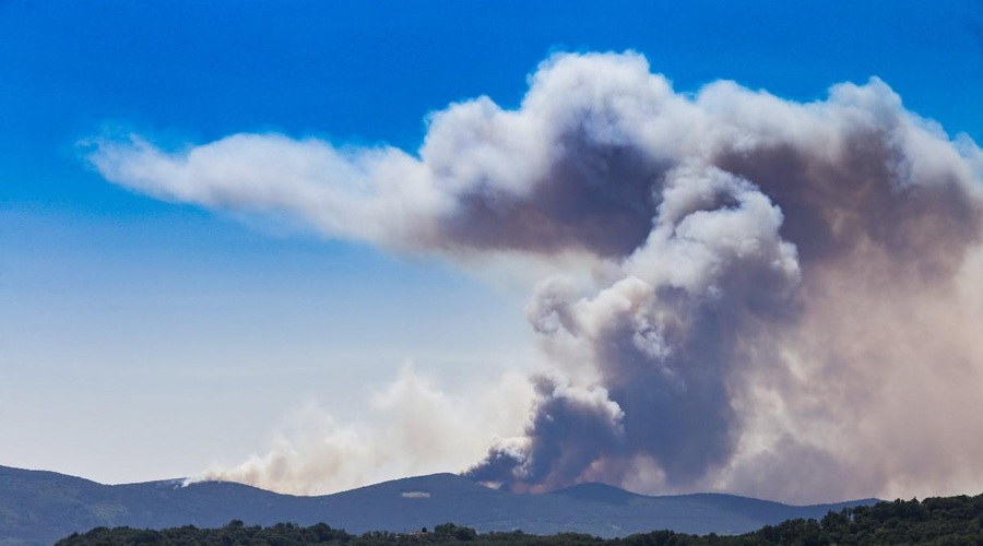 Požar na goriškem Krasu se širi! (foto: Leo Caharija)