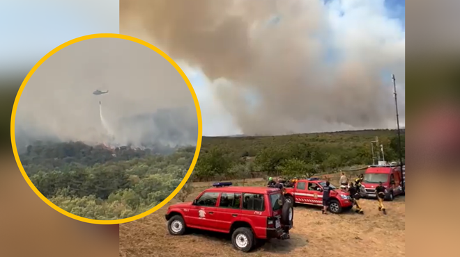 V boj s požarom na Krasu skoraj 500 gasilcev, na pomoč tudi helikopterji iz Italije (foto: Posnetek zaslona/Twitter/Noocko/fotomontaža)