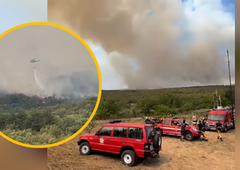 V boj s požarom na Krasu skoraj 500 gasilcev, na pomoč tudi helikopterji iz Italije