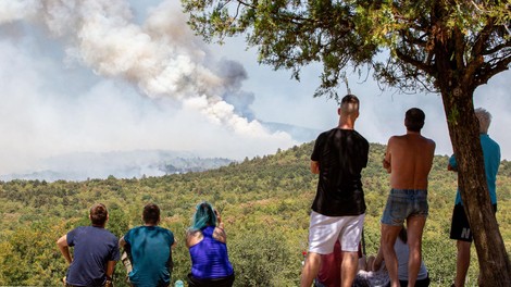 FOTO: To so nove informacije o požaru na Krasu