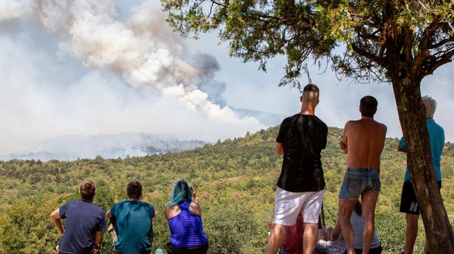FOTO: To so nove informacije o požaru na Krasu (foto: Jasmina Putnik)