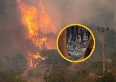 Ognjeni zublji zajeli Evropo: kljub ogromni škodi še daleč od TEH katastrofalnih požarov