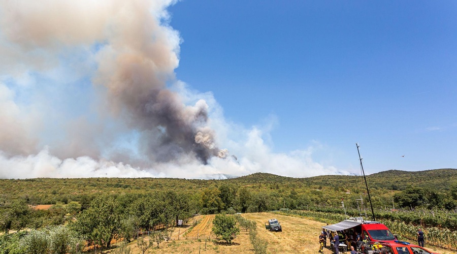 Ni še konec: Kras ponovno gori, prekinjen je cestni in železniški promet (foto: Jasmina Putnik)