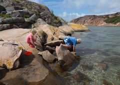 Hrvaški živalovarstveniki prosijo: ''TO naučite otroke pred dopustom na morju''