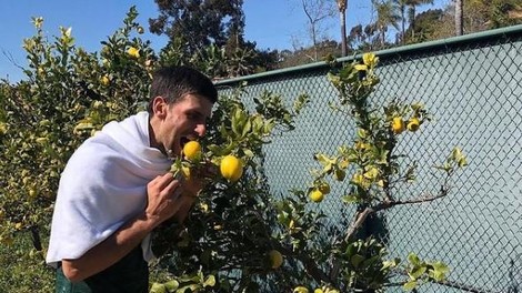 Novak Đoković ni več vegan: kaj pravi kuharica restavracije, kamor zahaja?