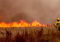 Šokantni posnetki: znašel se je v osrčju požara in moral bežati pred gotovo smrtjo