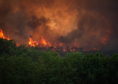 Najnovejše informacije o požaru na Krasu: 1000 gasilcev, na pomoč italijanski in hrvaški canadair ...